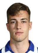Sucic L.