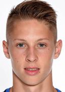 Palko Dardai