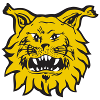 Ilves U20